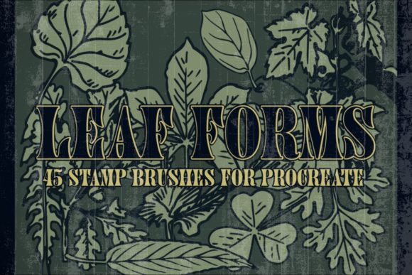 Download 45 Leaf Form Stamp Brushes for Procreate - Brushes for procreate Collection
