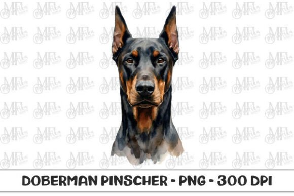 Download Doberman Pinscher Watercolor Portrait - Doberman Collection